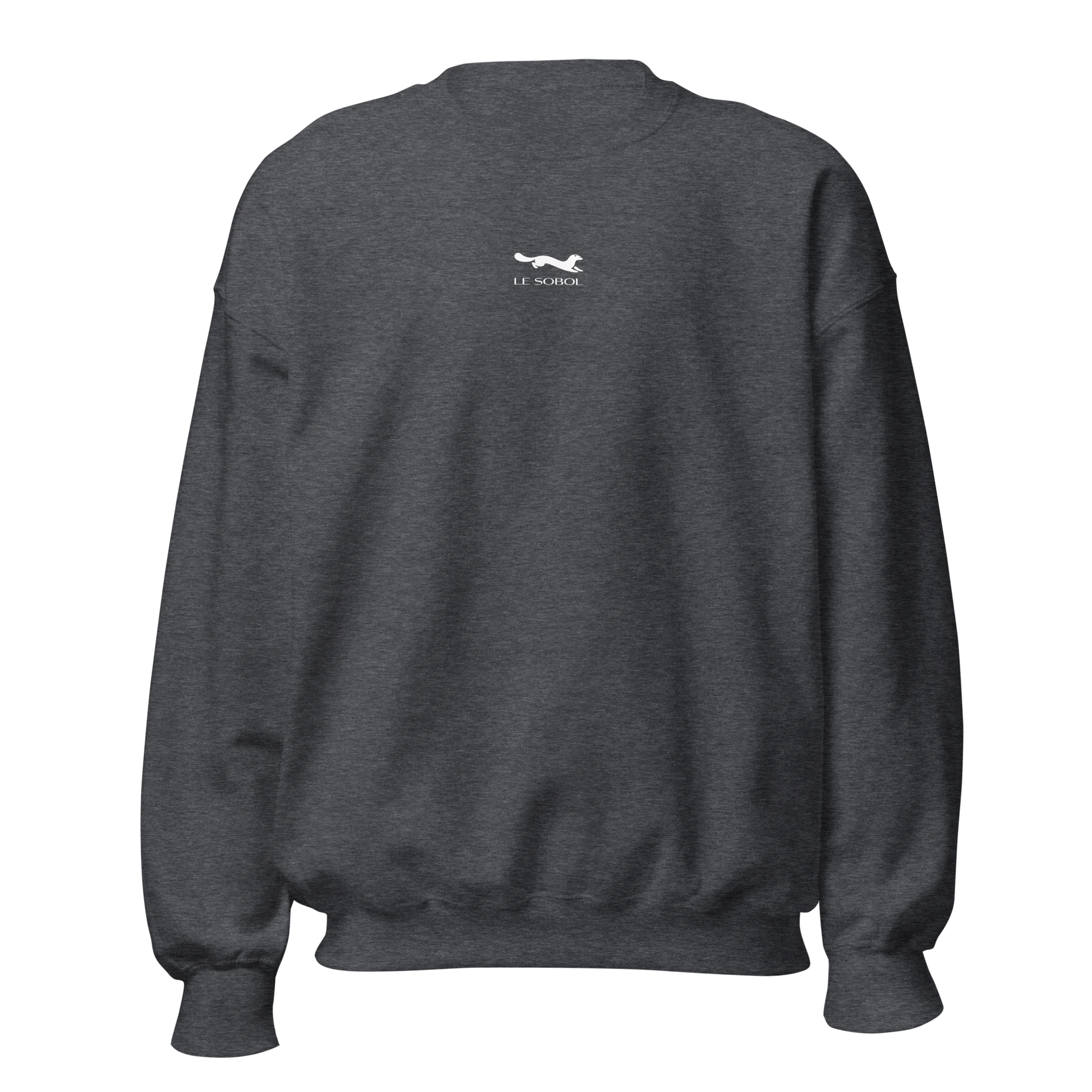 LE SOBOL $$ BIG sweatshirt in grey with front logo